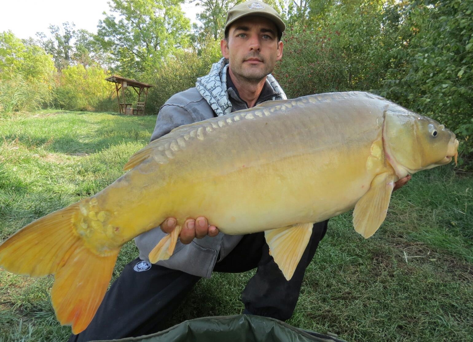 The best pictures of 2013 - 10,450